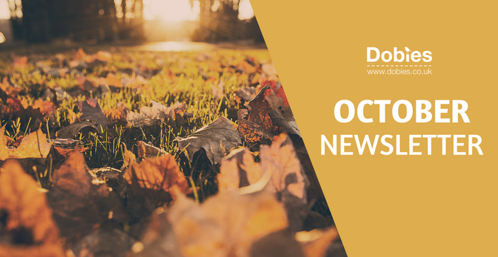 October newsletter