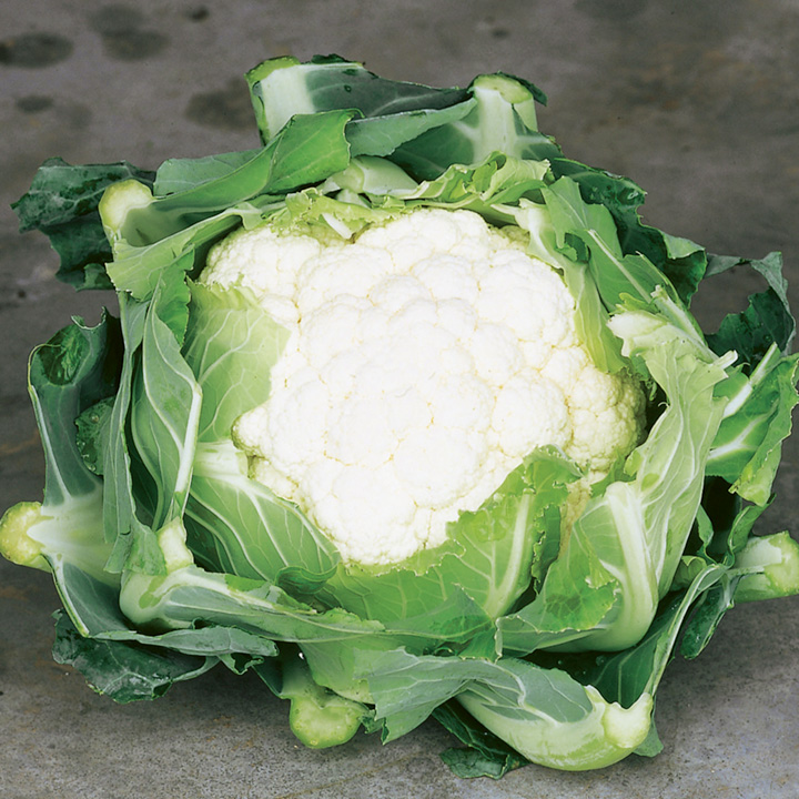 cauliflower clapton