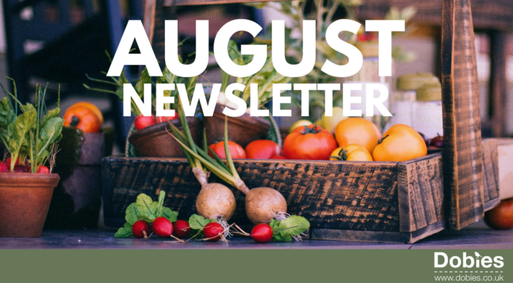 August Newsletter