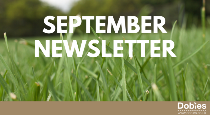 September Newsletter