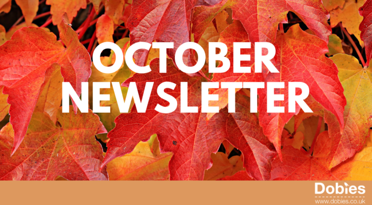October Newsletter