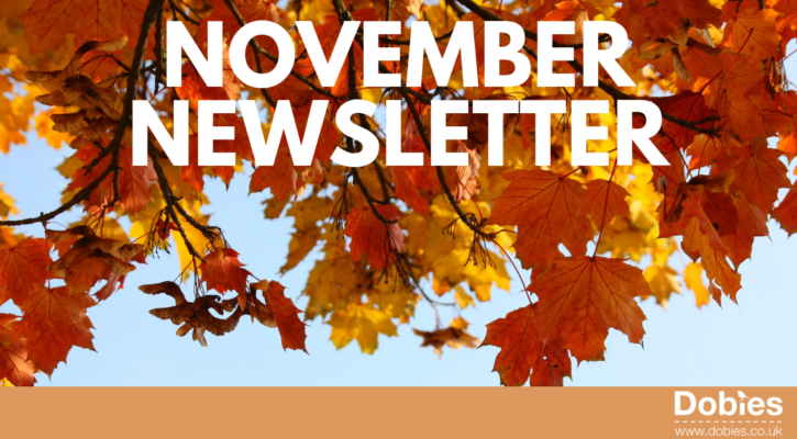 November Newsletter