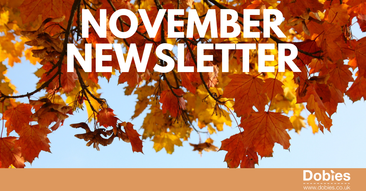 November Newsletter - Dobies Blog
