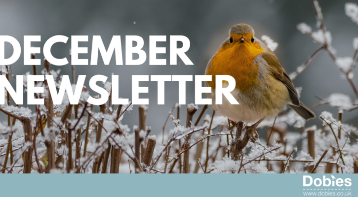 December Newsletter