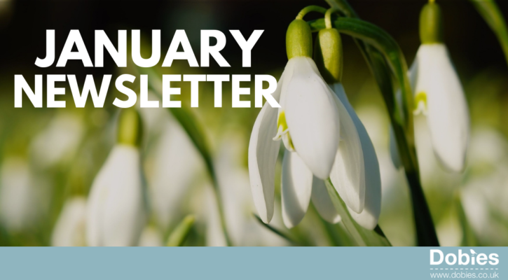 January newsletter