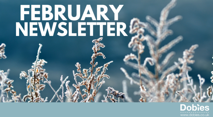 February Newsletter