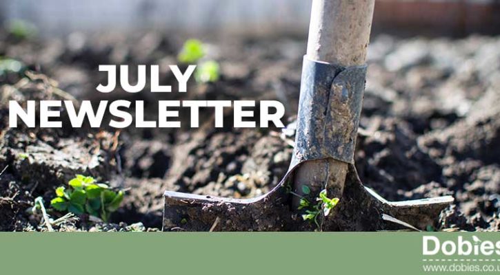 Dobies July 2019 newsletter