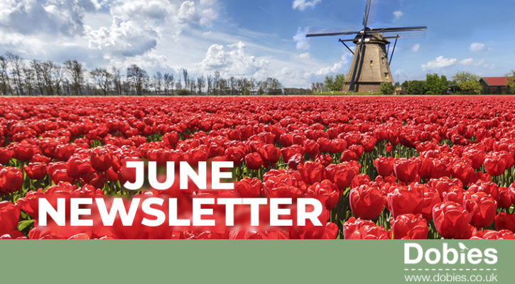 Dobies newsletter header August 2019