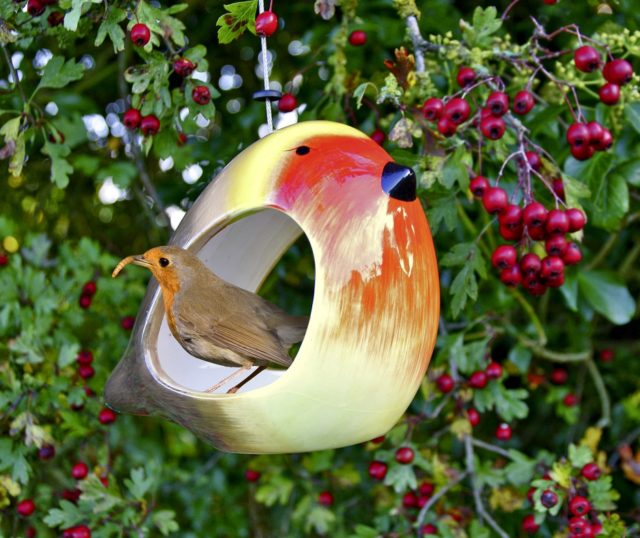 Dobies robin ceramic bird feeder wildlife