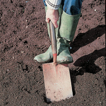 Digging over soil with a spade
