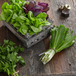 Cut herbs on table