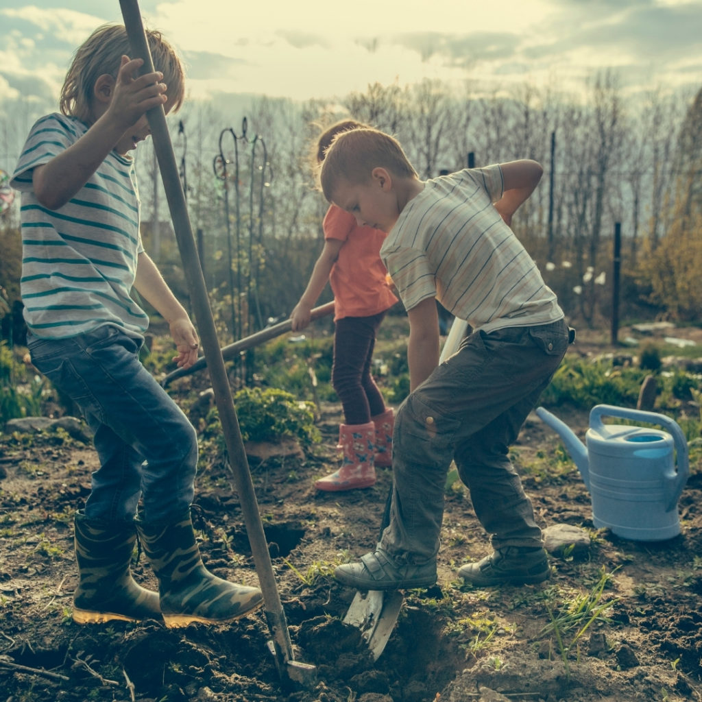 Kids on allotment digging