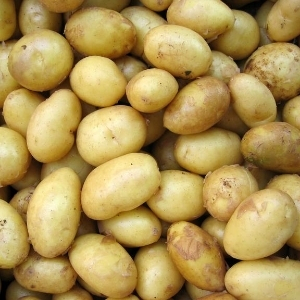 closeup on potatoes