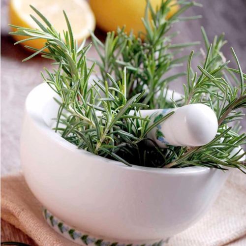 Rosemary in pestle and mortar 