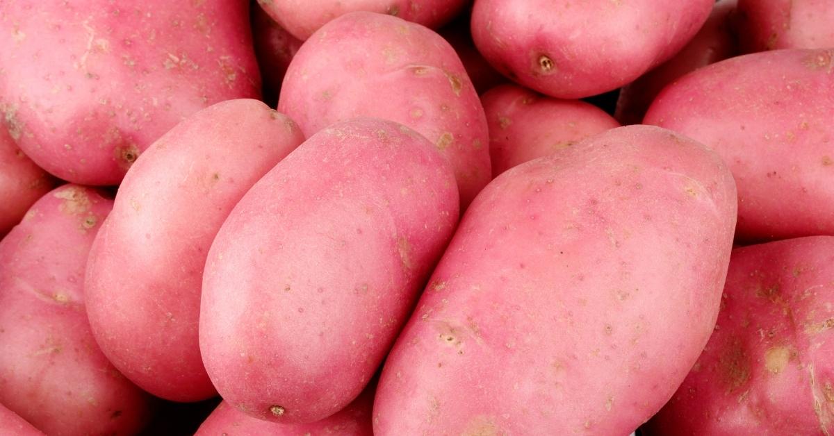 The rosy pink tubers of maincrop potato 'Desiree', from our pick of the best vegetable varieties.