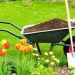 How to make your own compost – and why we all should