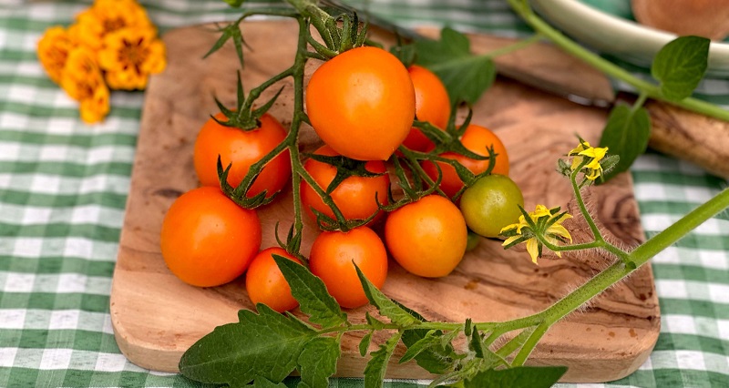Dobies new vegetable seeds 2024 tomato merrygold