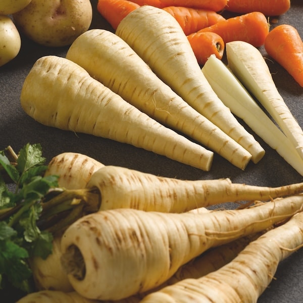 Closeup of white parsnips