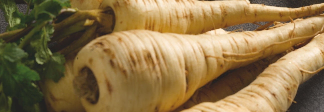 Harvested parsnips on table