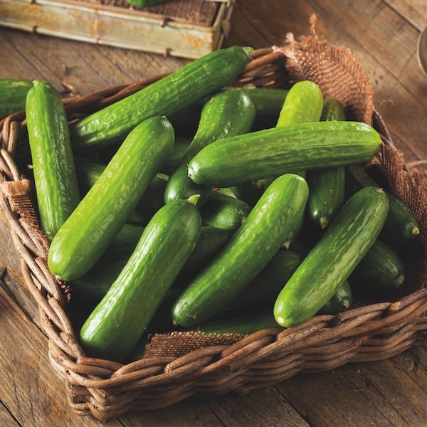 Closeup of mini cucumbers in wicker basket