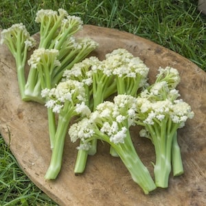 White cauliflower florets on wooden board