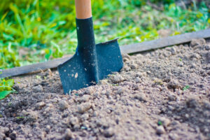 digging for correct bulb depth