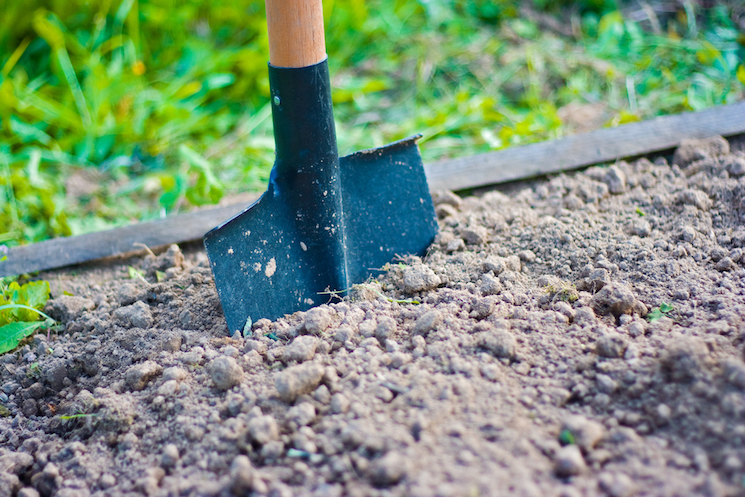 digging for correct bulb depth