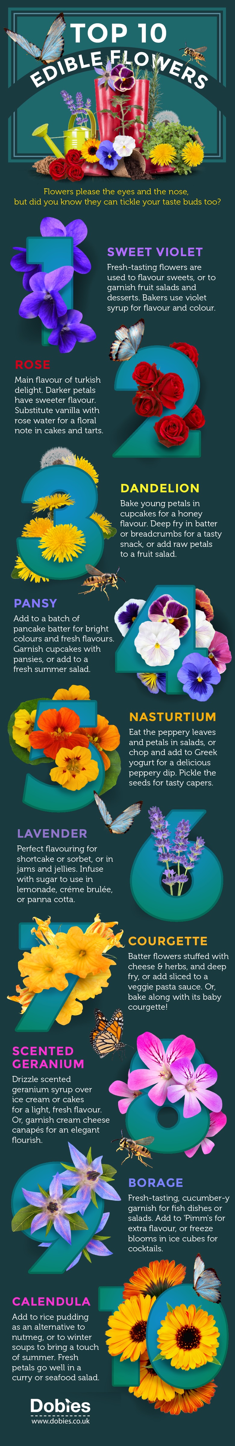 top 10 edible flowers infographic