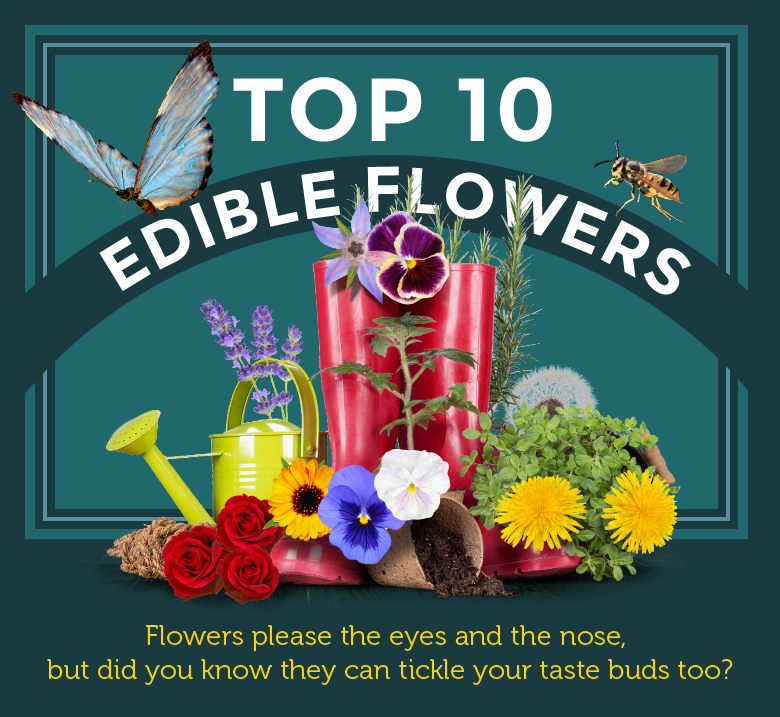 top 10 edible flowers lead image
