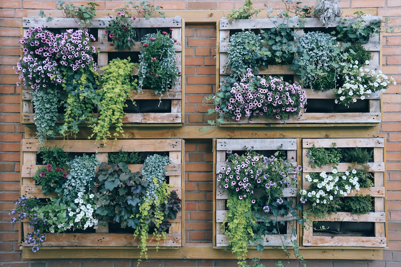 Vertical gardening using recycled pallets