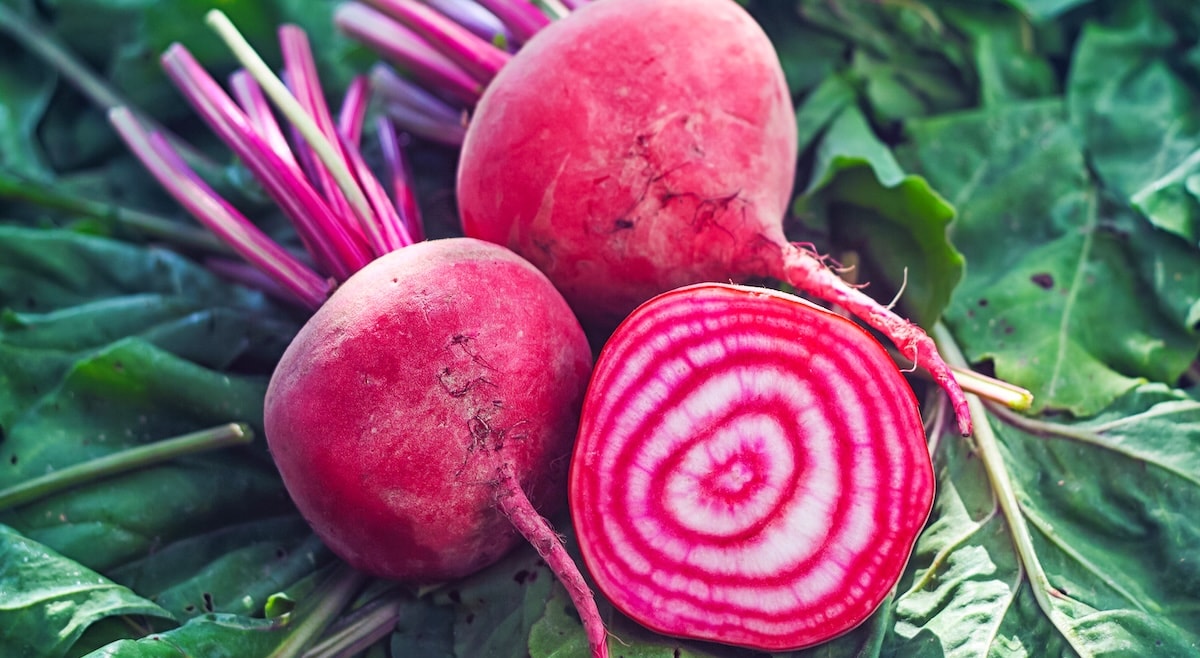 Five easy-grow organic vegetables for beginners 