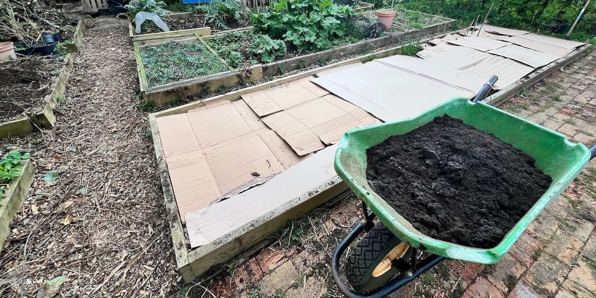 No-dig organic gardening for beginners