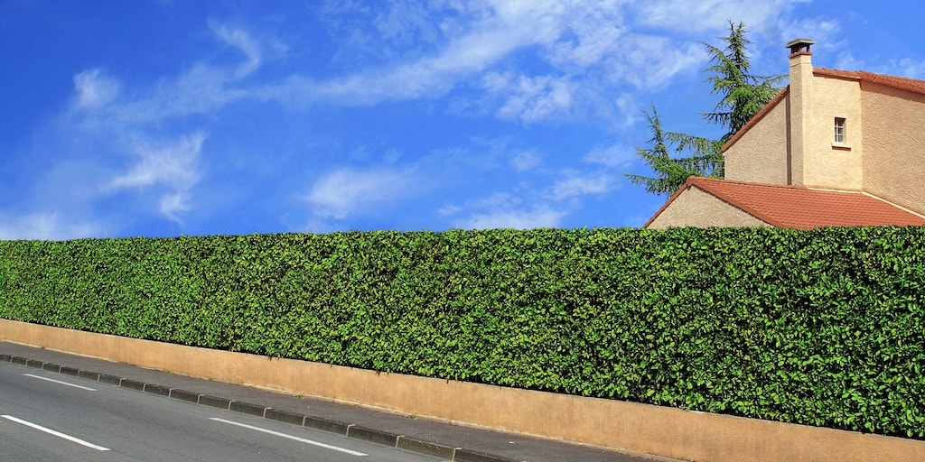 The complete guide to hedging